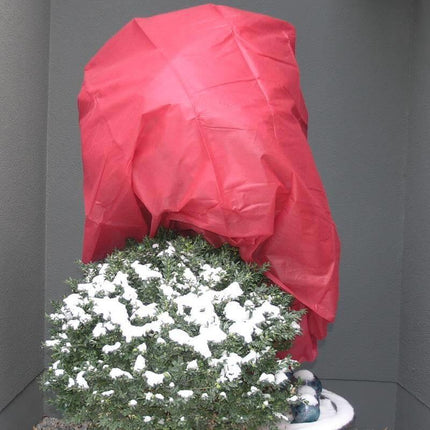 Buntes Wintervlies - 30 & 35 g/m² - 1,5x5 & 1,6x5 m
