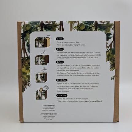 Austernseitling Fertigkultur in der Myko-Box