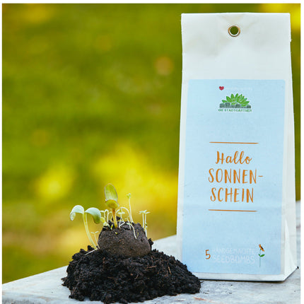 5 Samenbomben "Sonnenschein"