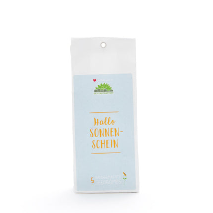 5 Samenbomben "Sonnenschein"