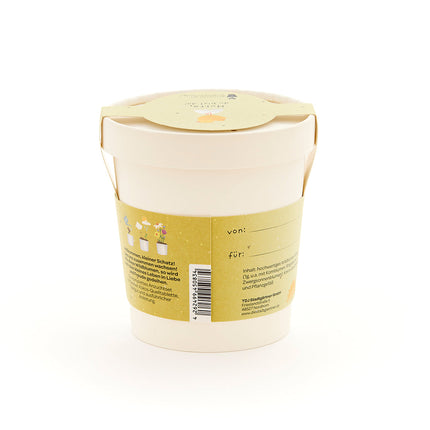 Hurra, du bist da - Becher