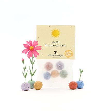 5 Blumenmurmeln im Tütchen "Hallo Sonnenschein"