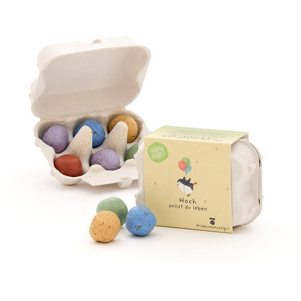6 bunte Blumenmurmeln im Eierkarton "Hoch sollst du leben"