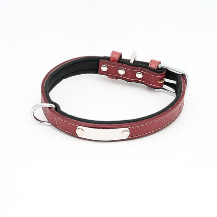 Hundehalsband mit Namen aus hochwertigem Leder, Innenpolsterung aus Neopren, 2 massive D-Ringe