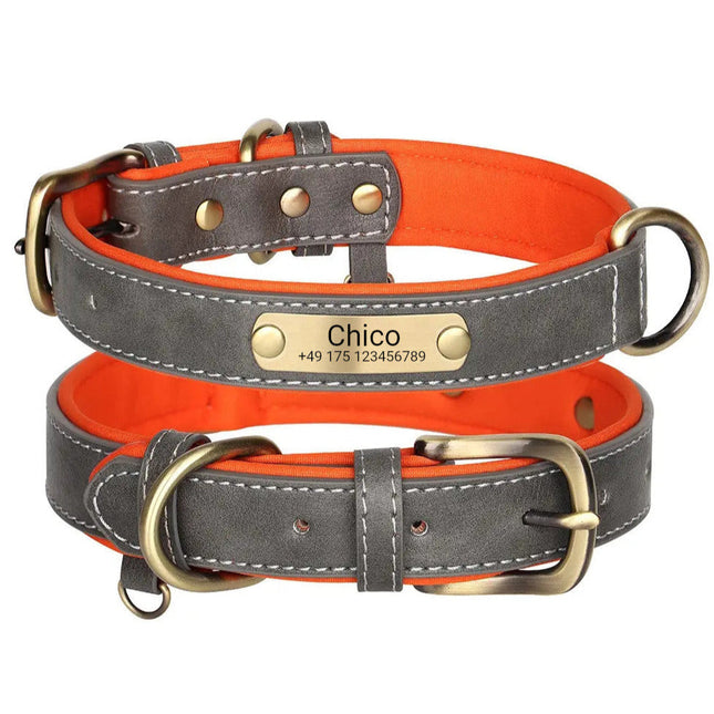 Schickes Hundehalsband mit Gravur, PU grau, Neopren Mesh innen orange, Ring für Hundemarken