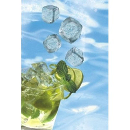 Starpak 20 Eiskugelbeutel mit Selbstverschluss und Easy release | Faltschachtel (20 Stück)