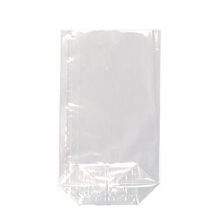 Starpak 10 Bodenbeutel, PP transparent