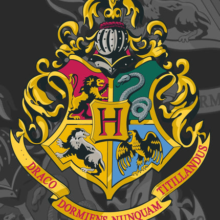 Harry Potter Handtuch Strand Badetuch 70x140cm