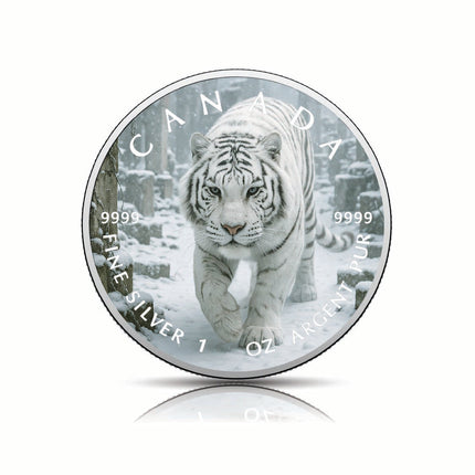 2025 Canada 1oz 9999 Silver BU Ghost of the Frozen Ruins Colourized