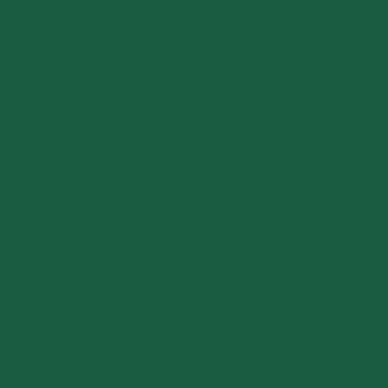 Zellt.Serv.33x33 3lg. Jägergrün | Packung (50 Stück)