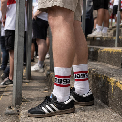 Stadionsocke - Stuttgart