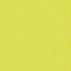 Woven Kiwi