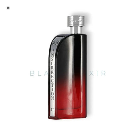 Reyane Tradition Insurrection Dark Eau de Toilette