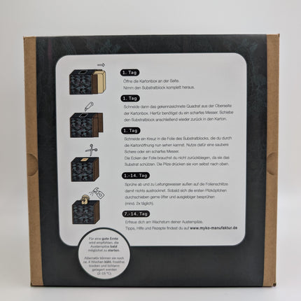 Austernseitling Fertigkultur in der Myko-Box