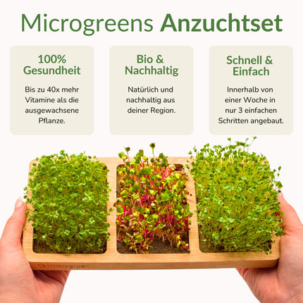 Microgreens Anzuchtset - Echtholz Traum