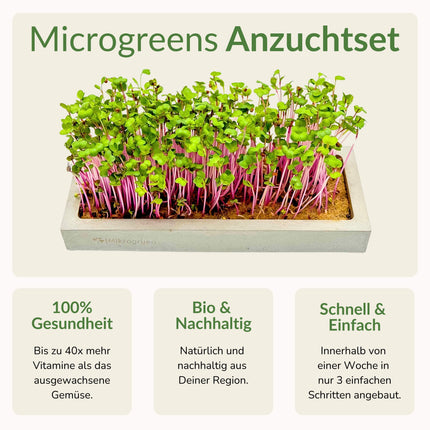 Microgreens Maxi-Set