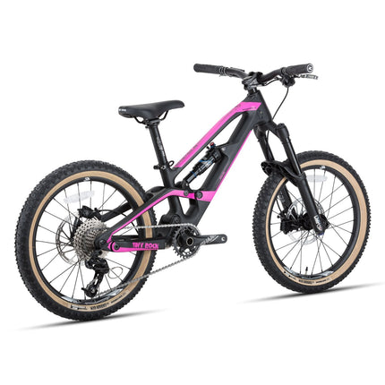 20" Master S (Carbon Rahmen) (Carbon) kaufen bei Linkreich – Jetzt entdecken!