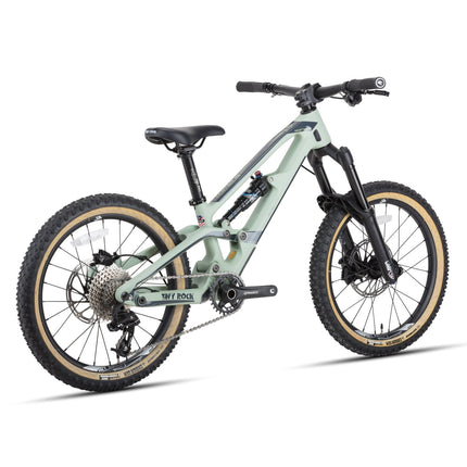 20" Master S (Carbon Rahmen) (Carbon) kaufen bei Linkreich – Jetzt entdecken!