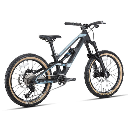 20" Master S (Carbon Rahmen) (Carbon) kaufen bei Linkreich – Jetzt entdecken!