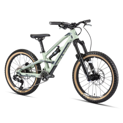 20" Master S (Carbon Rahmen) (Carbon) kaufen bei Linkreich – Jetzt entdecken!