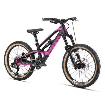 20" Master S (Carbon Rahmen) (Carbon) kaufen bei Linkreich – Jetzt entdecken!