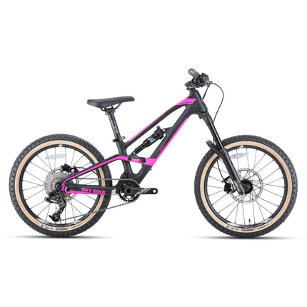 20" Master S (Carbon Rahmen) (Carbon) kaufen bei Linkreich – Jetzt entdecken!