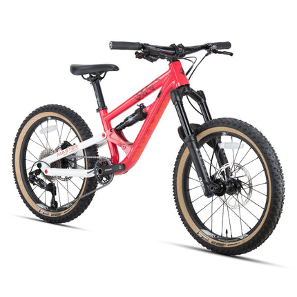 20" Master（Aluminum Rahmen) (Aluminium) kaufen bei Linkreich – Jetzt entdecken!