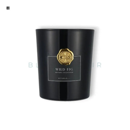 RITUALS...Wild Fig Scented Candle