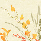 Fall Beauty