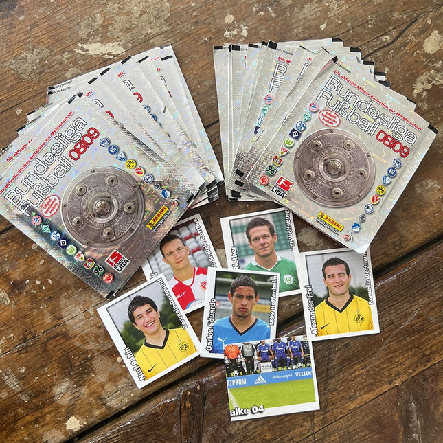 2008/2009 Panini Bundesliga