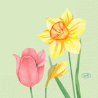 Spring Melody