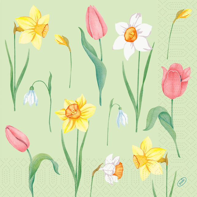 Servietten 40x40 cm 3-lagig Spring Melody Papierservietten | Packung (250 Stück)