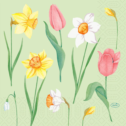 Servietten 33 cm 3-lagig 1/4-Falz Spring Melody Papierservietten | Packung (50 Stück)