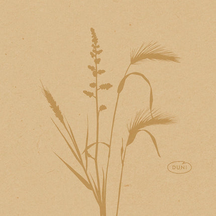 Bio-Dunisoft-Serv. 20x20cm