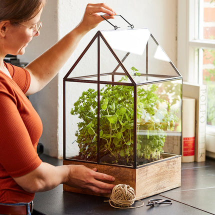 Hochwertiges Anzucht- und Gewächshaus