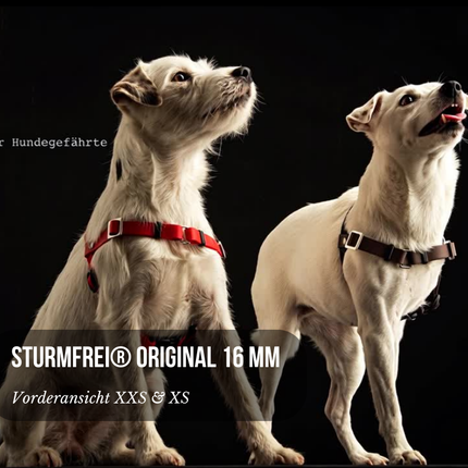 Vorderführgeschirr STURMFREI® Original (16 mm) – XXS & XS - höhenverstellbar aus BioThane®