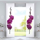 Orchidee Lila