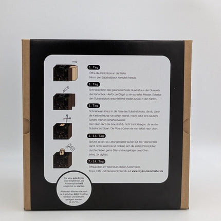 Austernseitling Fertigkultur in der Myko-Box