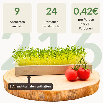 Microgreens Maxi-Set