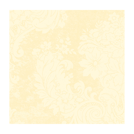 Dunilin®-Serviette 40 x 40 cm