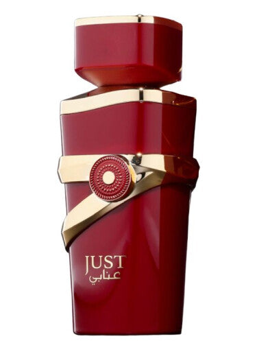 Fragrance World Just Anabi Eau de Parfum 100ml