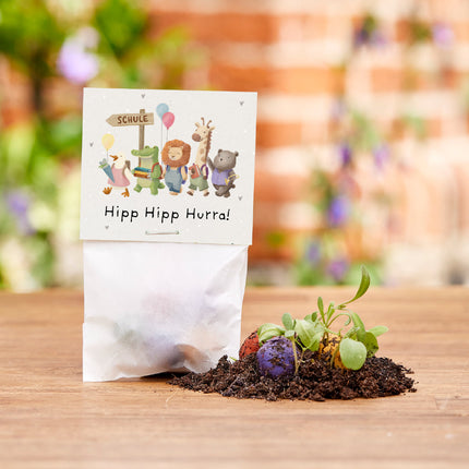 5 Blumenmurmeln im Tütchen zur Einschulung "Hipp Hipp Hurra!"
