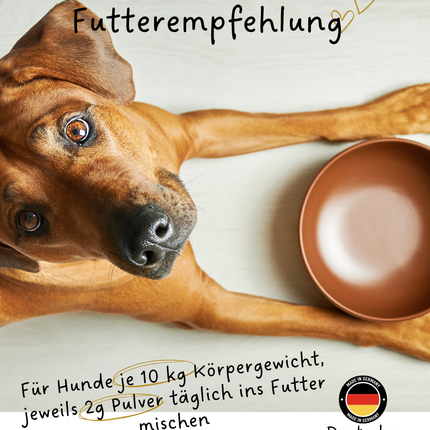 Riolino FreshBite – Natürliche Zahnpflege für Hunde