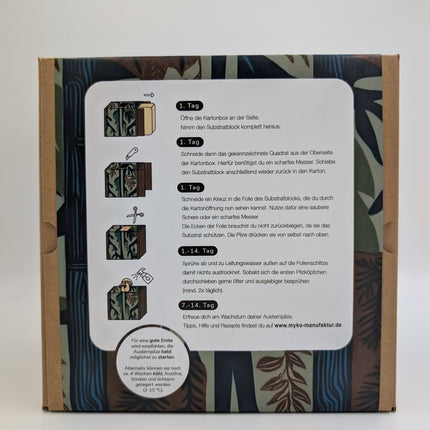 Austernseitling Fertigkultur in der Myko-Box