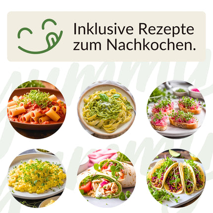 Microgreens Maxi-Set