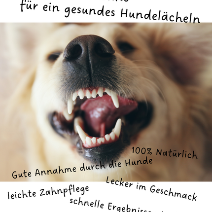 Riolino FreshBite – Natürliche Zahnpflege für Hunde