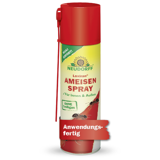 Loxiran AmeisenSpray