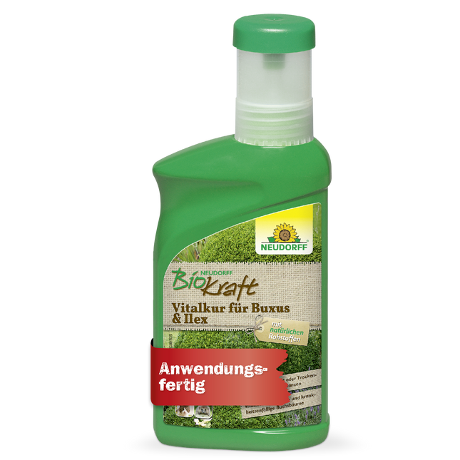 Neudorff BioKraft Vitalkur für Buxus & Ilex