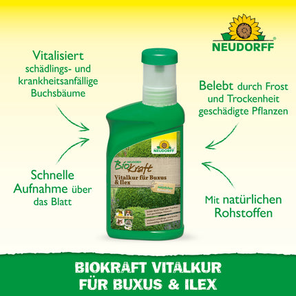 Neudorff BioKraft Vitalkur für Buxus & Ilex