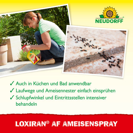 Loxiran AF AmeisenSpray